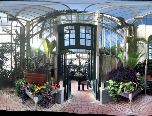 A Spiritual Greenhouse